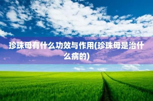 珍珠母有什么功效与作用(珍珠母是治什么病的)