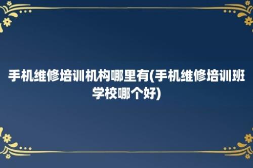 手机维修培训机构哪里有(手机维修培训班学校哪个好)