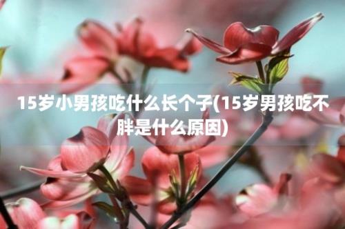 15岁小男孩吃什么长个子(15岁男孩吃不胖是什么原因)