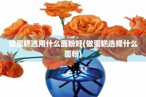 做蛋糕选用什么面粉好(做蛋糕选择什么面粉)