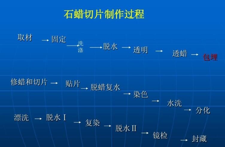 石蜡切片有什么优缺点