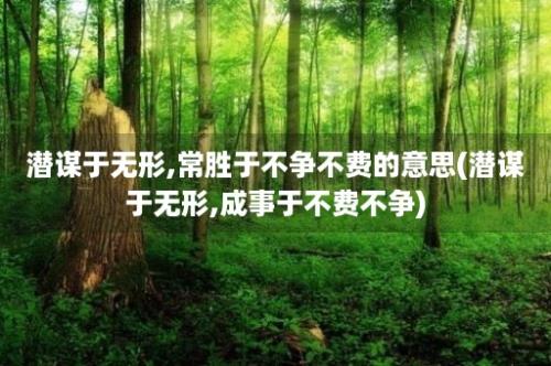 潜谋于无形,常胜于不争不费的意思(潜谋于无形,成事于不费不争)