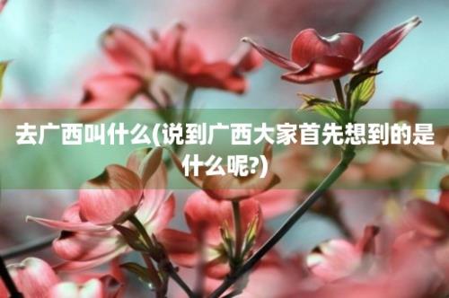 去广西叫什么(说到广西大家首先想到的是什么呢?)