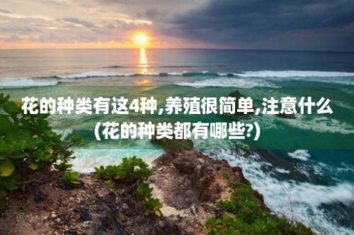 花的种类有这4种,养殖很简单,注意什么(花的种类都有哪些?)