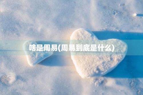 啥是周易(周易到底是什么)