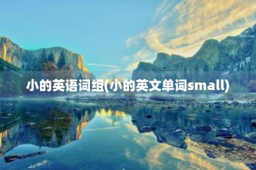 小的英语词组(小的英文单词small)