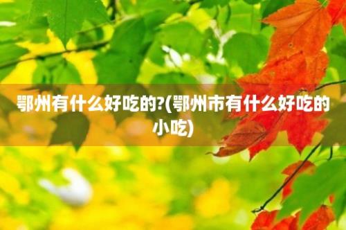 鄂州有什么好吃的?(鄂州市有什么好吃的小吃)