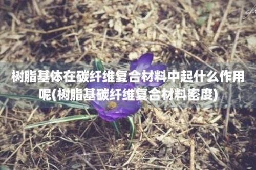 树脂基体在碳纤维复合材料中起什么作用呢(树脂基碳纤维复合材料密度)