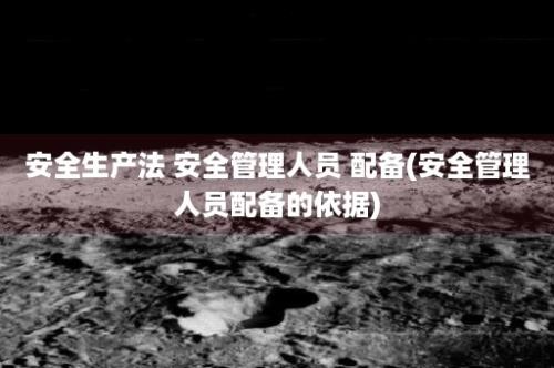 安全生产法 安全管理人员 配备(安全管理人员配备的依据)