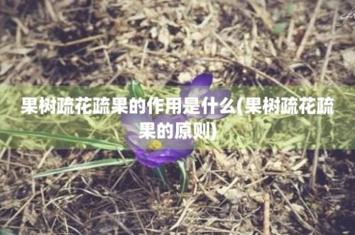 果树疏花疏果的作用是什么(果树疏花疏果的原则)