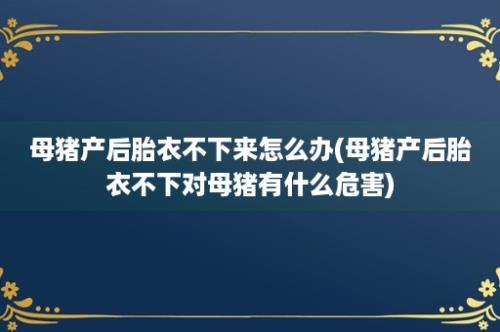 母猪产后胎衣不下来怎么办(母猪产后胎衣不下对母猪有什么危害)