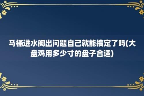 马桶进水阀出问题自己就能搞定了吗(大盘鸡用多少寸的盘子合适)