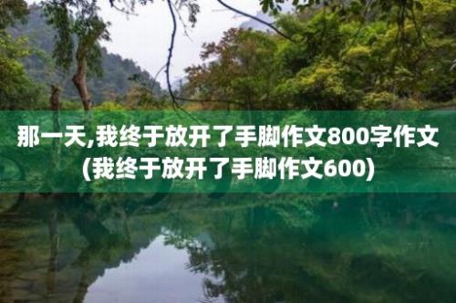 那一天,我终于放开了手脚作文800字作文(我终于放开了手脚作文600)