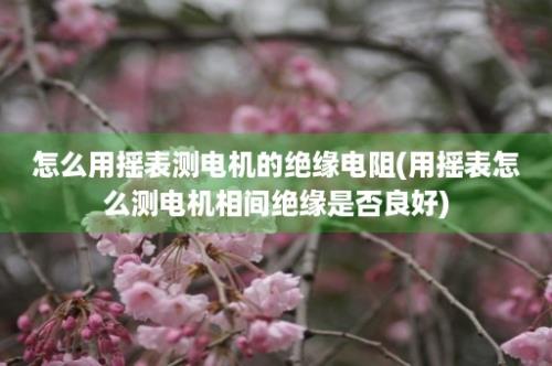 怎么用摇表测电机的绝缘电阻(用摇表怎么测电机相间绝缘是否良好)