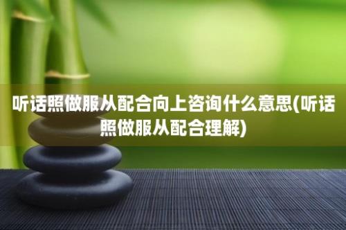 听话照做服从配合向上咨询什么意思(听话照做服从配合理解)