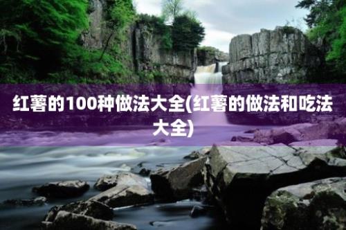 红薯的100种做法大全(红薯的做法和吃法大全)