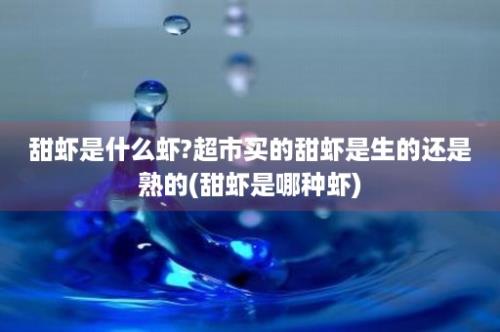 甜虾是什么虾?超市买的甜虾是生的还是熟的(甜虾是哪种虾)