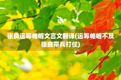 张良运筹帷幄文言文翻译(运筹帷幄不及张良带兵打仗)