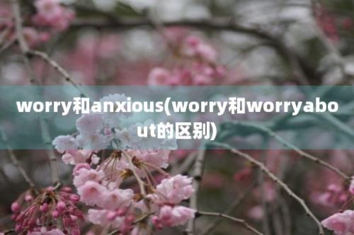 worry和anxious(worry和worryabout的区别)