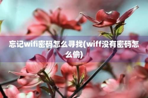 忘记wifi密码怎么寻找(wiff没有密码怎么偷)