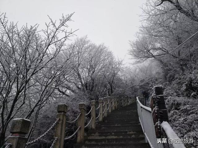 贵州梵净山这几天冷吗（贵州开启冰冻模式）(8)