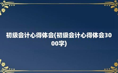 初级会计心得体会(初级会计心得体会3000字)