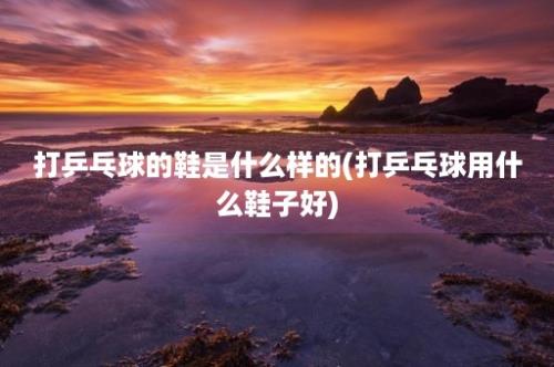 打乒乓球的鞋是什么样的(打乒乓球用什么鞋子好)