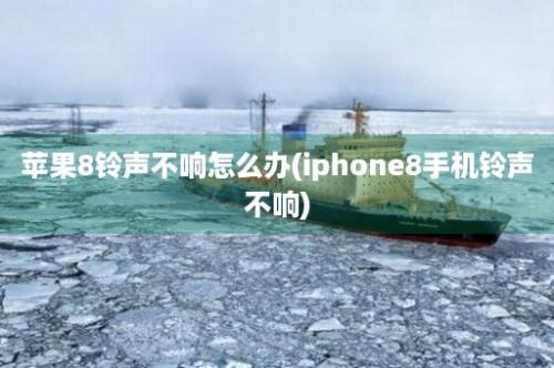 苹果8铃声不响怎么办(iphone8手机铃声不响)