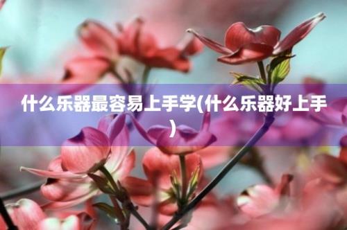 什么乐器最容易上手学(什么乐器好上手)