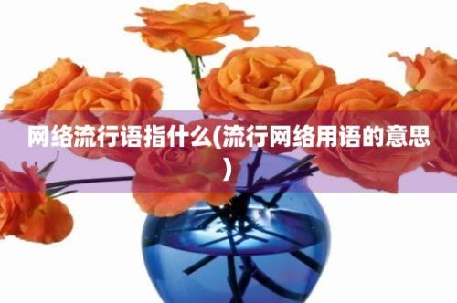 网络流行语指什么(流行网络用语的意思)