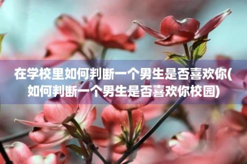 在学校里如何判断一个男生是否喜欢你(如何判断一个男生是否喜欢你校园)