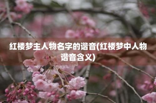 红楼梦主人物名字的谐音(红楼梦中人物谐音含义)