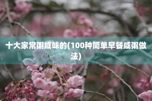 十大家常粥咸味的(100种简单早餐咸粥做法)