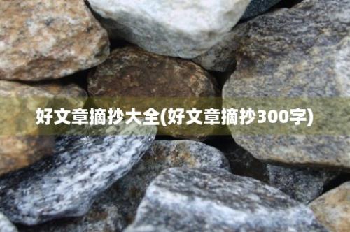 好文章摘抄大全(好文章摘抄300字)