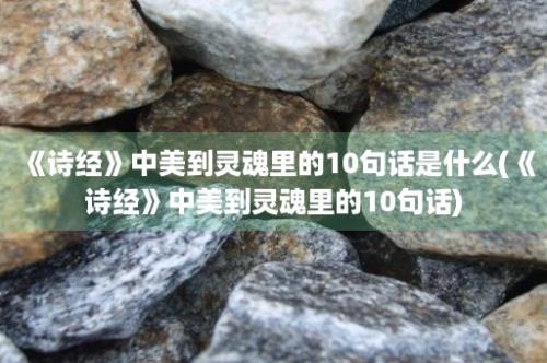 《诗经》中美到灵魂里的10句话是什么(《诗经》中美到灵魂里的10句话)