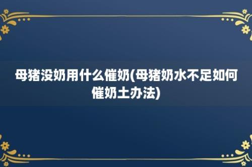 母猪没奶用什么催奶(母猪奶水不足如何催奶土办法)