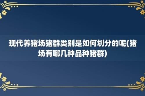 现代养猪场猪群类别是如何划分的呢(猪场有哪几种品种猪群)