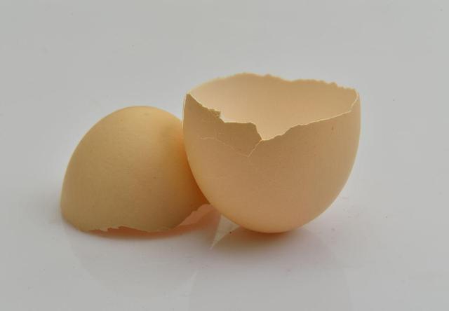 鸡蛋壳的用处可真大啊（小小鸡蛋壳竟有这样大的用处）(1)