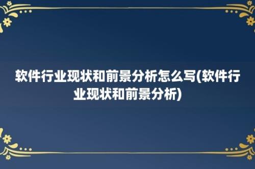 软件行业现状和前景分析怎么写(软件行业现状和前景分析)