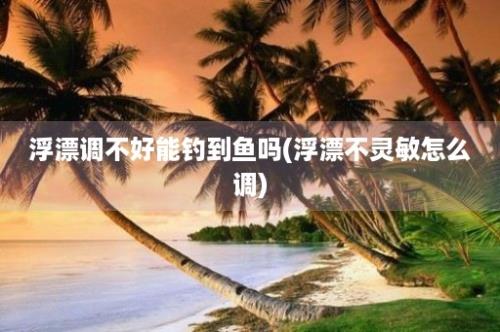 浮漂调不好能钓到鱼吗(浮漂不灵敏怎么调)