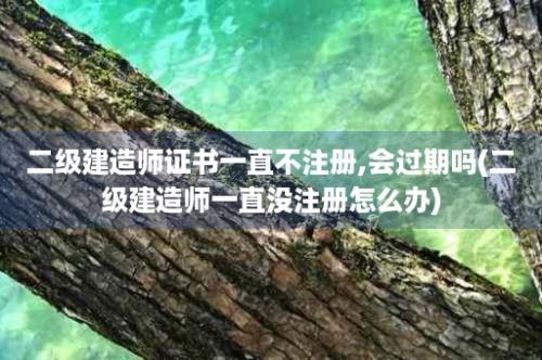 二级建造师证书一直不注册,会过期吗(二级建造师一直没注册怎么办)