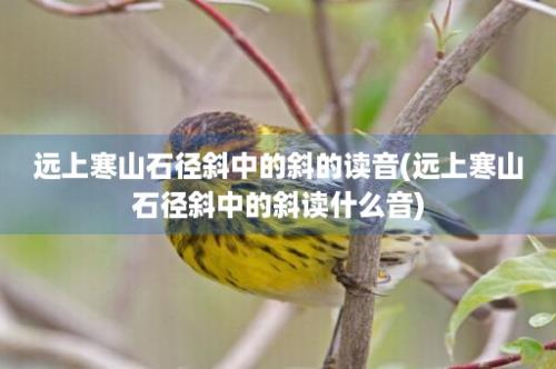 远上寒山石径斜中的斜的读音(远上寒山石径斜中的斜读什么音)