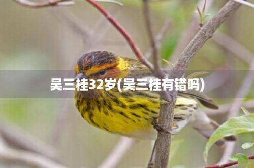 吴三桂32岁(吴三桂有错吗)