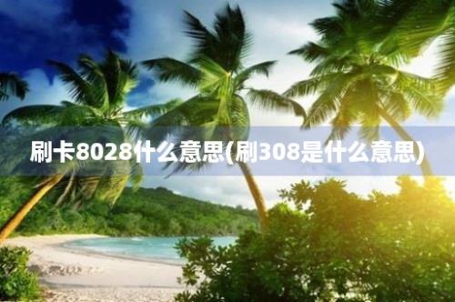 刷卡8028什么意思(刷308是什么意思)