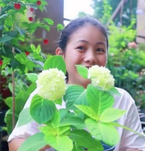 养花用什么颜色的花盆