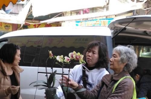 在花城 逛花市 买鲜花——广州的年味（腊月二十三）