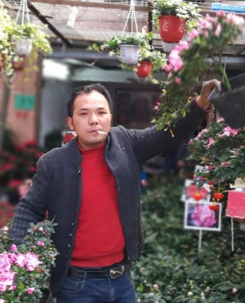 在花城 逛花市 买鲜花——广州的年味（腊月二十三）