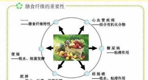 膳食纤维作为七大营养素之一被称为什么