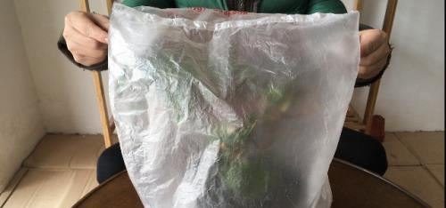 杜鹃花套塑料袋能多久能拿下