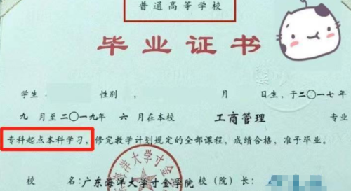 专科生迎“喜讯”，学历不再是“拦路虎”，预计3月1日正式实行